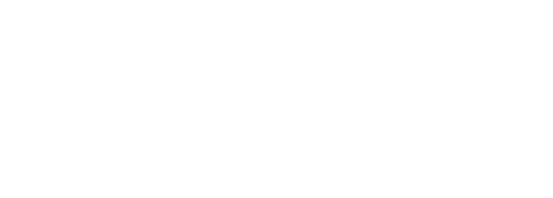 BSquare Software Services